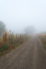 A rural road, plants, fences and a lot of fog.