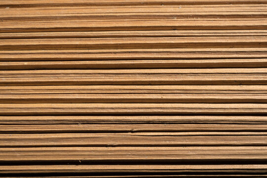Details of a dry palm tree leaf, horizontal lines