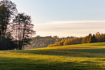 Relaxing atmospheric sunset over a meadow among trees.