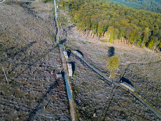 Luftaufnahme mit Drohne vom Waldsterben im Taunus durch den Borkenkäfer und Klimawandel in der Nähe von Oberursel, Deutschland Hessen