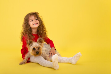 Little girl with a little puppy on a yellow background. Beauty plays with the Yorkie Terrier  like a toy.