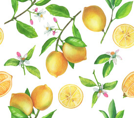 Seamless pattern of lemon fruit with flower on white background. Hand painted illustration packaging design of lemon tea products and fashion design.