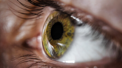 Green pupil of the eye with black eyelashes close-up
