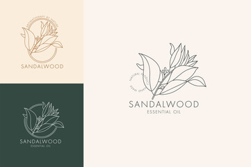 Vector linear set of botanical icons and symbols - sandalwood. Design logos for essential oil sandalwood. Natural cosmetic product.