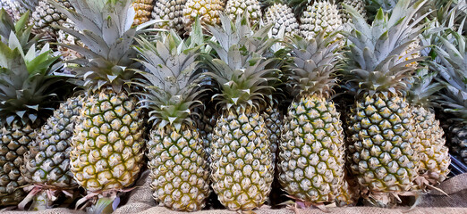 Full frame shot of pineapples at market in Thailand, A lot of pineapple fruit background.