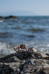 stones on the beach