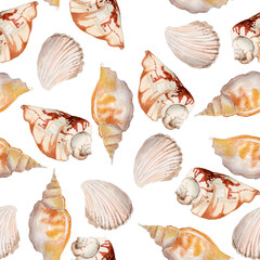 Watercolor seamless seashells pattern; summer textile texture; seashells decoration