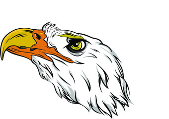 Mascotte head of an eagle. 