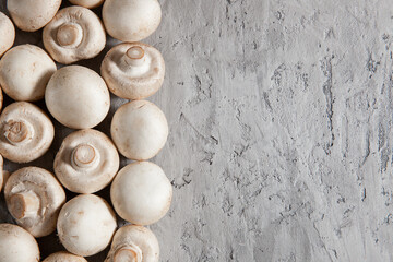 Mushrooms on a gray concrete background, top view. Concept of healthy eating or vegetarian food 