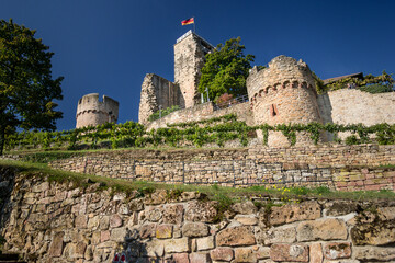 Burgruine Wachenheim