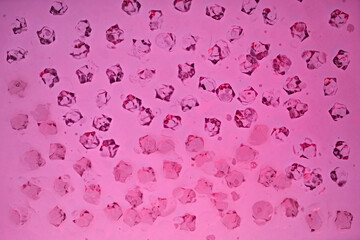 Multicolored elements for abstract design background.