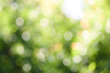 Green bokeh from nature background