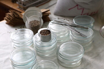 Laboratory experiments with hemp sativa