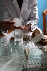 Laboratory experiments with hemp sativa