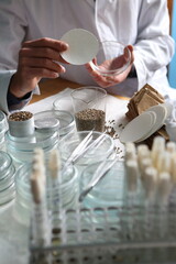 Laboratory experiments with hemp sativa