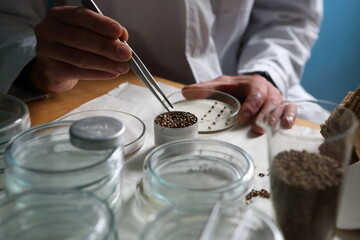 Laboratory experiments with hemp sativa