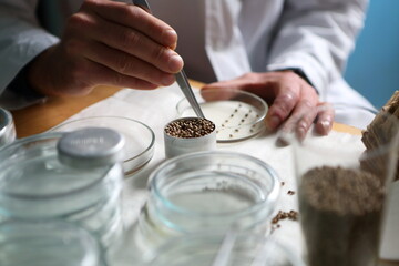 Laboratory experiments with hemp sativa