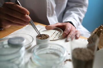 Laboratory experiments with hemp sativa