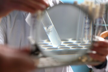 Sowing for phytopathogens. Hemp sativa laboratory research