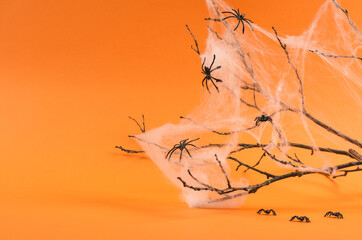Halloween background with place for text. Branches and spider web with spiders on an orange...