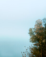 autumn colors on the lakeshore on a foggy morning.