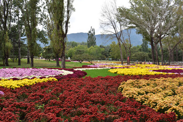 Plakat Botanical Garden in Beijing Fall 2021