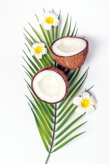 Composition with ripe half cut coconut, green tropical leaf and plumeria flowers on white background. Spa concept