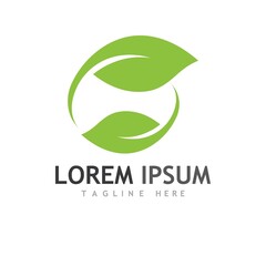 leaf logo and vector images