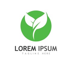 leaf logo and vector images