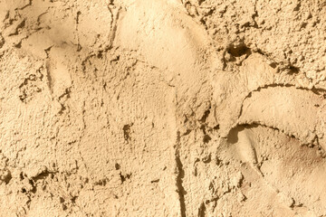 Photo texture of brown colored concrete wall stucco.
