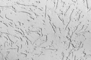 Photo texture of gray colored plater bark beetle stucco wall.