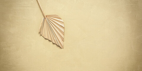 Dry palm leaf on a beige concrete background. Top view, flat lay, copy space. Textured background