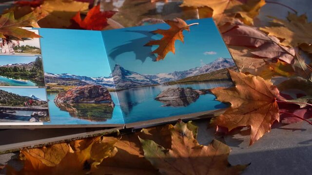 Album for photos in bright autumn foliage