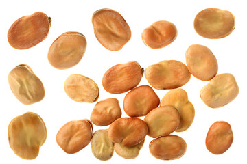 Beans closeup on white