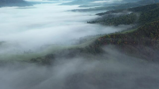 Aerial view on amazing flowing morning fog spreads over green meadows in autumn mountains. Ukrainian Carpathian mountains. UHD 4k video