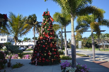 Christmas decoration and palmtrees on a street in Naples Florida 