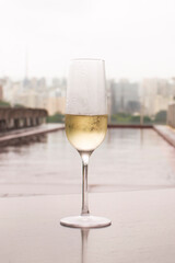 A glass of champagne on the background of the pool, Sao Paulo, Brazil