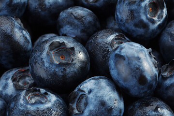 Blueberry detail background
