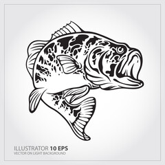 Vector Illustration of a largemouth bass fish jumping  in white background done in retro style. - obrazy, fototapety, plakaty