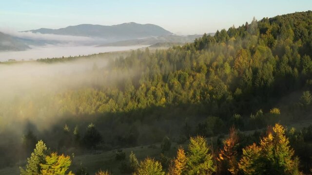 Aerial view on amazing flowing morning fog spreads over green meadows in autumn mountains. Ukrainian Carpathian mountains. UHD 4k video