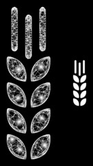 Bright mesh vector barley ear with glow effect. White mesh, bright spots on a black background with barley ear icon. Mesh and lightspot elements are placed on different layers.