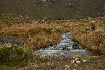  Nevado del cocuy