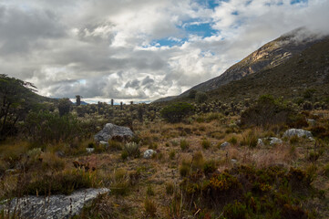 Fototapeta na wymiar Valle de los Frailejones Nevado del cocuy 