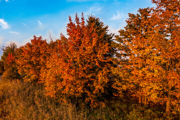 Mikoszewo, Pomorskie, Polska, Poland