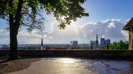 Rays of sunlight between the trees on the hilltop viewpoint in Tallinn Estonia.