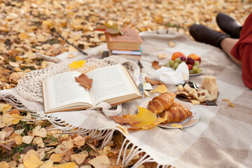 Naklejka na ściany i meble autumn still life with picnic with croissants and book in the park