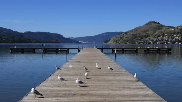 Coldstream Kalamalka Lake Kal Beach Okanagan Valley British Columbia