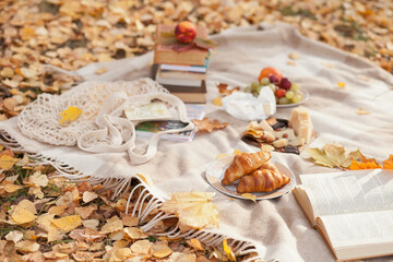 croissants and books at a picnic in autumn park