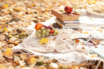 books and picnic in the autumn park
