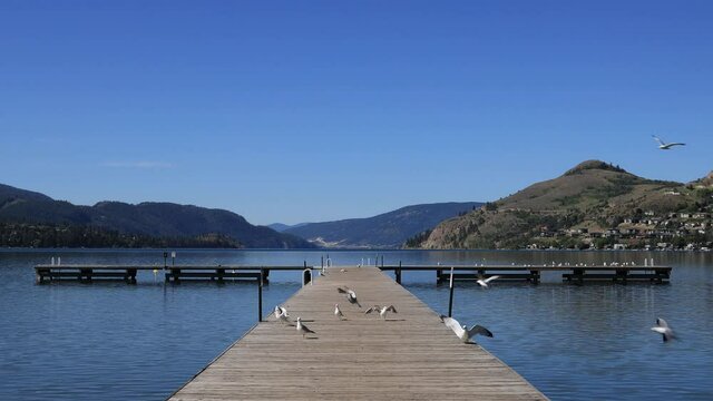 Coldstream Kalamalka Lake Kal Beach Okanagan Valley British Columbia